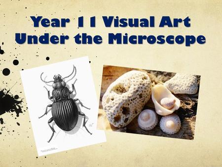 Year 11 Visual Art Under the Microscope. Term One Year 11 – Diversification Unit 1 – Natural Form – Under the Microscope Assessment: Visual Art Diary.