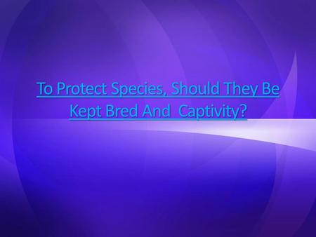 To Protect Species, Should They Be Kept Bred And Captivity?