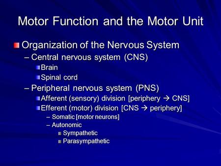 Motor Function and the Motor Unit