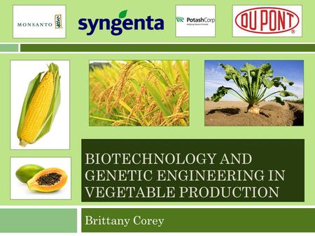 BIOTECHNOLOGY AND GENETIC ENGINEERING IN VEGETABLE PRODUCTION Brittany Corey.