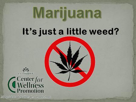 It’s just a little weed?. “What’s the worst that could happen?”
