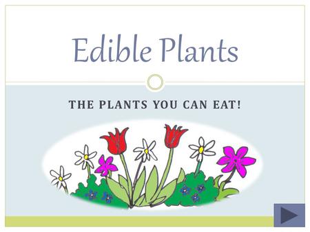 THE PLANTS YOU CAN EAT! Edible Plants Table of Contents Background Info Lessons Practice Quizzes  More fun! More fun!