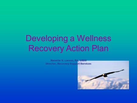 Developing a Wellness Recovery Action Plan Nanette V. Larson, BA, CRSS Director, Recovery Support Services.