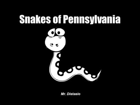 Snakes of Pennsylvania Mr. Distasio. Timber Rattlesnake.