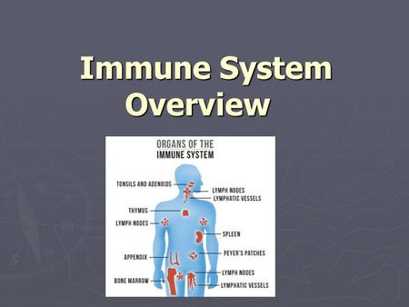 Immune System Overview What causes disease? ► An organism that causes an infection or disease is called a pathogen ► Types of pathogens include virus,
