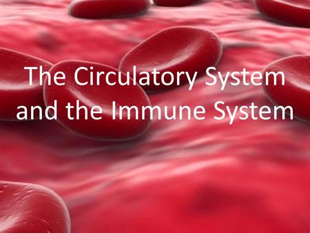 The Circulatory System and the Immune System. Key Point #1 The main function of the circulatory system is to pump blood and transport needed materials.