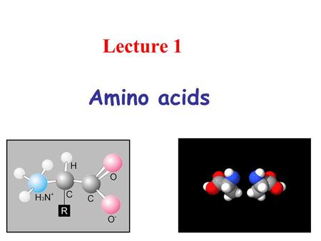 Lecture 1 Amino acids.