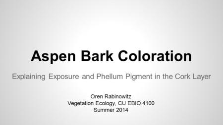 Aspen Bark Coloration Explaining Exposure and Phellum Pigment in the Cork Layer Oren Rabinowitz Vegetation Ecology, CU EBIO 4100 Summer 2014.