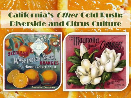 California’s Other Gold Rush: Riverside and Citrus Culture.