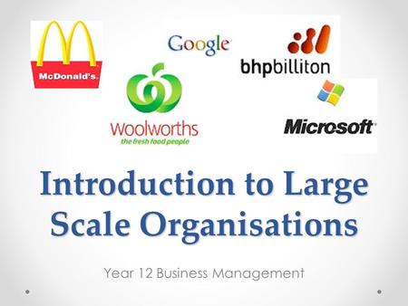 Introduction to Large Scale Organisations