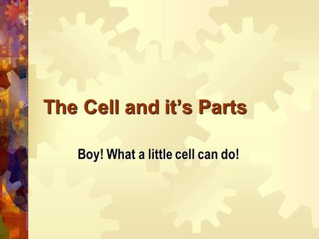 The Cell and it’s Parts Boy! What a little cell can do!