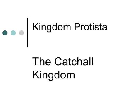 Kingdom Protista The Catchall Kingdom. Algae Characteristics of Algae Autotrophic Not plants – why? Often contain pyrenoids.