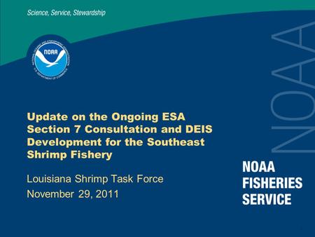 1 Update on the Ongoing ESA Section 7 Consultation and DEIS Development for the Southeast Shrimp Fishery Louisiana Shrimp Task Force November 29, 2011.
