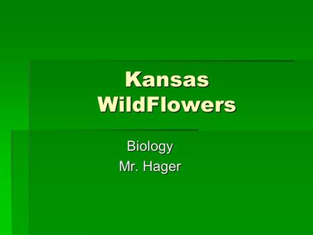 Kansas WildFlowers Biology Mr. Hager. Yucca  Forage Value: Cattle and deer eat the flowers and immature fruits, and bison will uproot plants and consume.