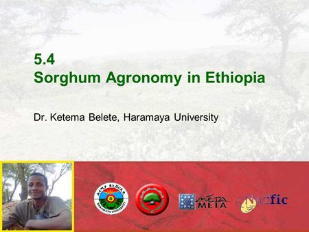 5.4 Sorghum Agronomy in Ethiopia