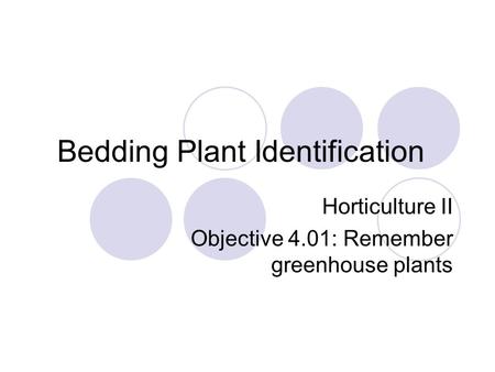 Bedding Plant Identification