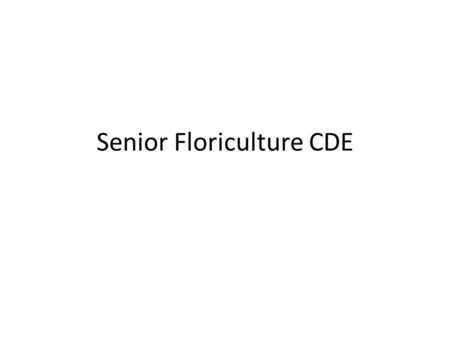 Senior Floriculture CDE. African Violet Ageratum.