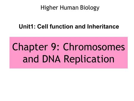 Chapter 9: Chromosomes and DNA Replication