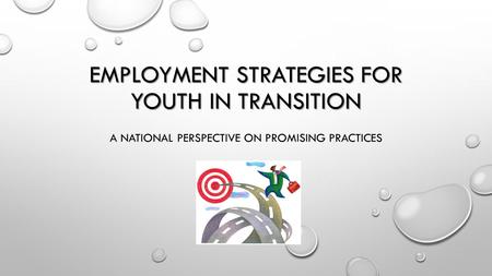 EMPLOYMENT STRATEGIES FOR YOUTH IN TRANSITION A NATIONAL PERSPECTIVE ON PROMISING PRACTICES.