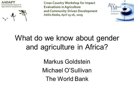 What do we know about gender and agriculture in Africa? Markus Goldstein Michael O’Sullivan The World Bank Cross-Country Workshop for Impact Evaluations.