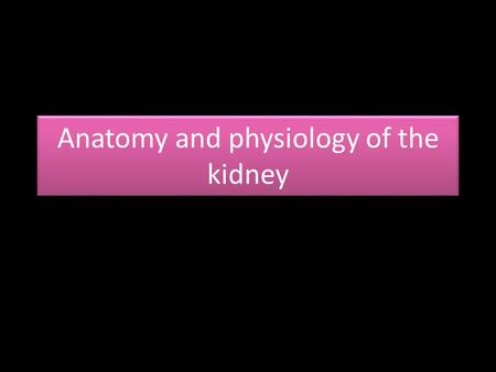 Anatomy and physiology of the kidney. True/false: the kidneys are outside the peritoneal cavity True The kidneys sit at __ to __ vertebral level T12 to.