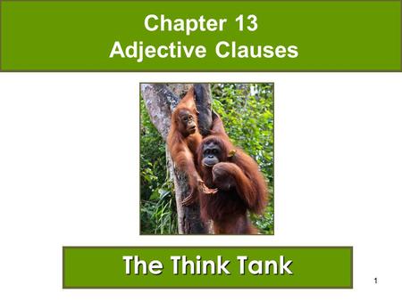 1 Chapter 13 Adjective Clauses The Think Tank. 2 The Think Tank at the National Zoo in Washington, DC, is an exhibit that is unique. The project, which.