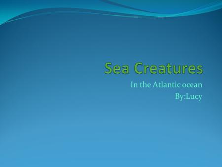 In the Atlantic ocean By:Lucy. Table of contents Introduction…………………………………………………Pg3 Tropical fish …………………………………………………Pg4 Octopus………………………………………………………..Pg5.