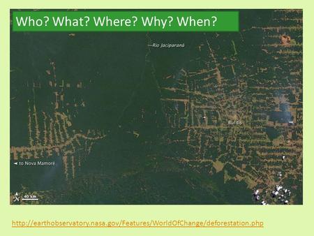 Who? What? Where? Why? When? http://earthobservatory.nasa.gov/Features/WorldOfChange/deforestation.php.