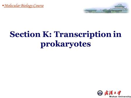 Molecular Biology Course Section K: Transcription in prokaryotes.