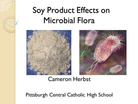 Soy Product Effects on Microbial Flora Soy Product Effects on Microbial Flora Cameron Herbst Pittsburgh Central Catholic High School.
