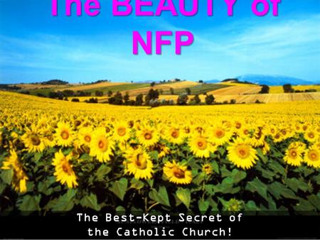 The BEAUTY of NFP The Best-Kept Secret of the Catholic Church!