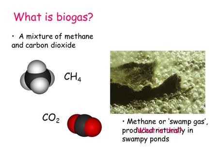 What is biogas? A mixture of methane and carbon dioxide CH 4 CO 2 Methane or ‘swamp gas’, produced naturally in swampy ponds Methane or ‘swamp gas’, produced.