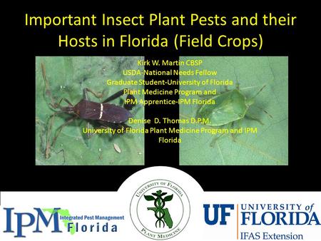Important Insect Plant Pests and their Hosts in Florida (Field Crops)