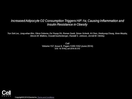 Increased Adipocyte O2 Consumption Triggers HIF-1α, Causing Inflammation and Insulin Resistance in Obesity Yun Sok Lee, Jung-whan Kim, Olivia Osborne,