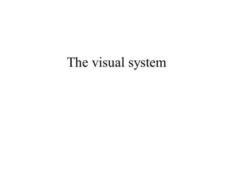 The visual system. The retina Light passes through the lens, through the inner layer of ganglion cells and bipolar cells to reach the rods and cones.