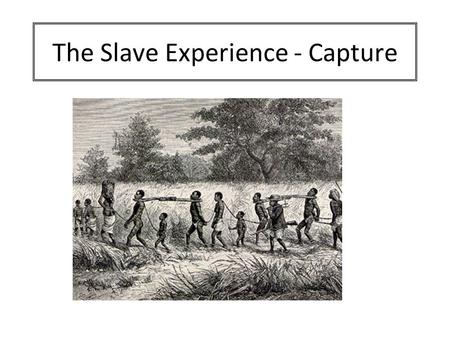The Slave Experience - Capture. Aim: Consider the experience of Africans who were captured and taken into slavery. Success Criteria: You will produce.