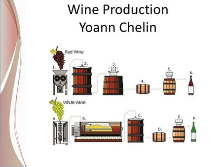 Wine Production Yoann Chelin. Wine exportation in the world.