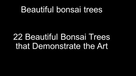 Beautiful bonsai trees 22 Beautiful Bonsai Trees that Demonstrate the Art.