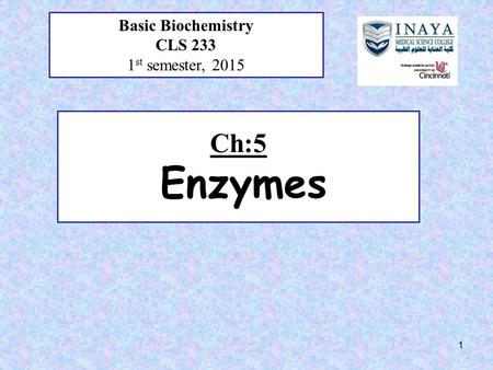 Ch:5 Enzymes Basic Biochemistry CLS 233 1 st semester, 2015 1.