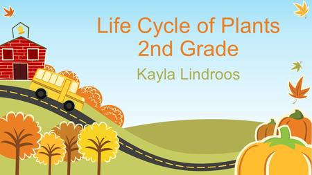 Life Cycle of Plants 2nd Grade