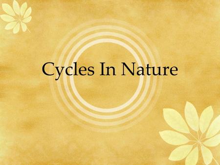 Cycles In Nature.