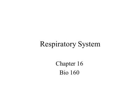 Respiratory System Chapter 16 Bio 160.