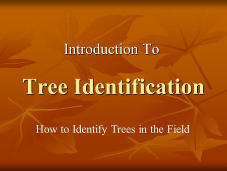 Tree Identification Introduction To How to Identify Trees in the Field.