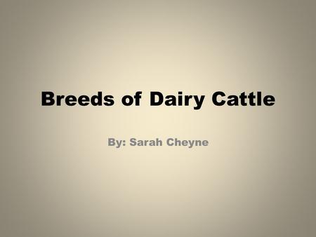 Breeds of Dairy Cattle By: Sarah Cheyne.