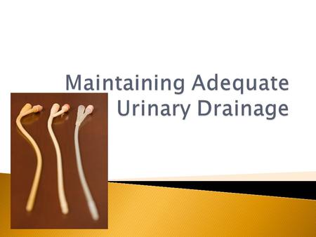  Urine clears the body of waste material  -aids in the balance of electrolytes  -conditions that interfere with urinary  drainage may create a health.