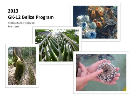 2013 GK-12 Belize Program Rebecca Sanders-DeMott Ryan Keser.