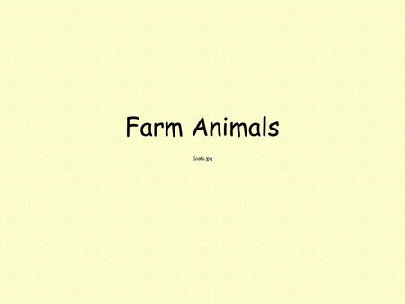 Farm Animals.