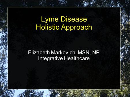 Lyme Disease Holistic Approach Elizabeth Markovich, MSN, NP Integrative Healthcare.