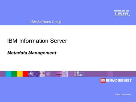 ® IBM Software Group © IBM Corporation IBM Information Server Metadata Management.