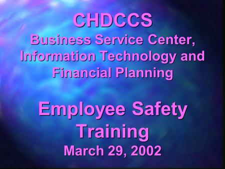 CHDCCS Business Service Center, Information Technology and Financial Planning Employee Safety Training March 29, 2002.